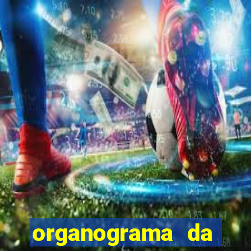 organograma da cacau show